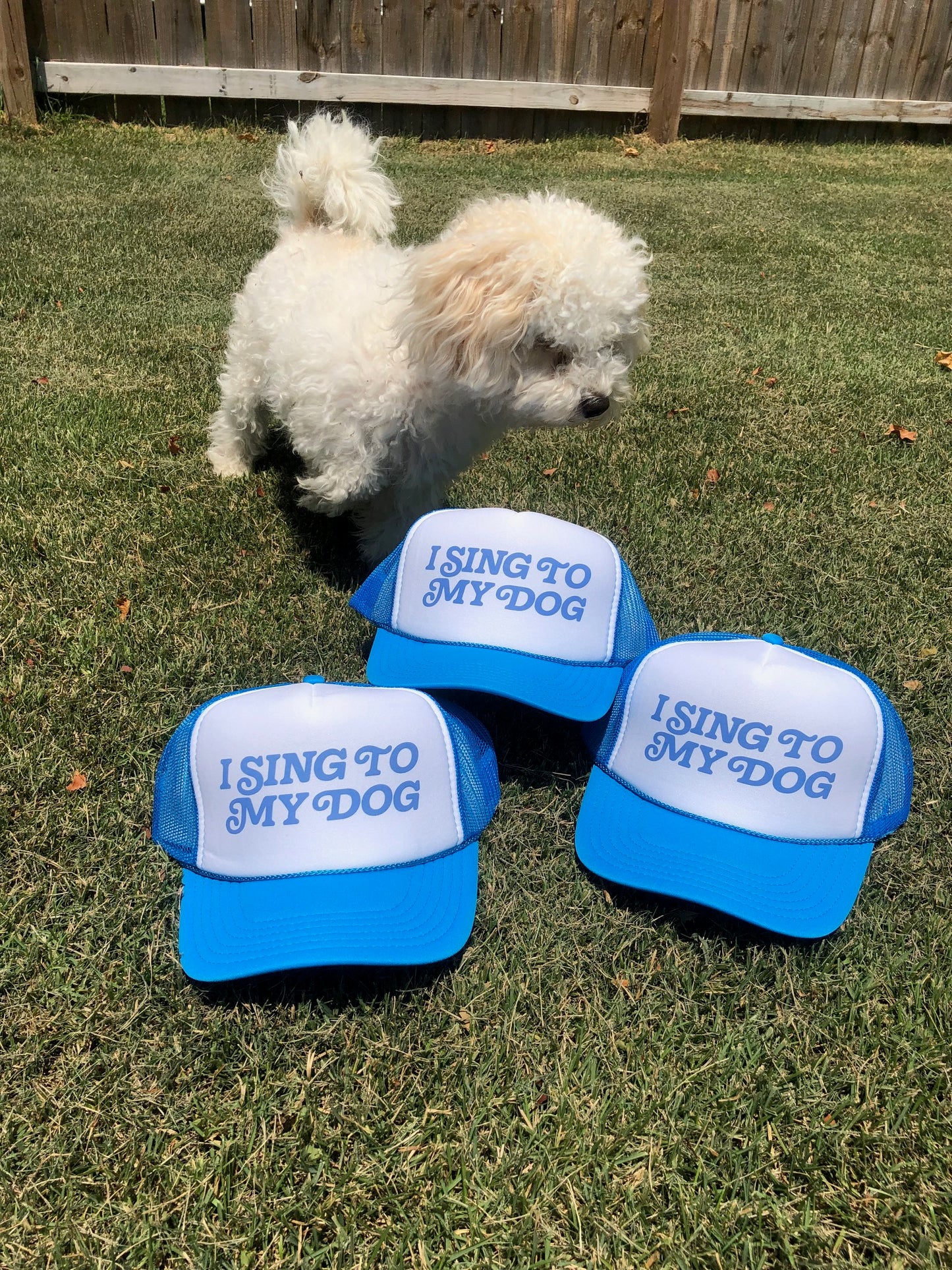"I Sing to My Dog" Retro Swirl Hat collection