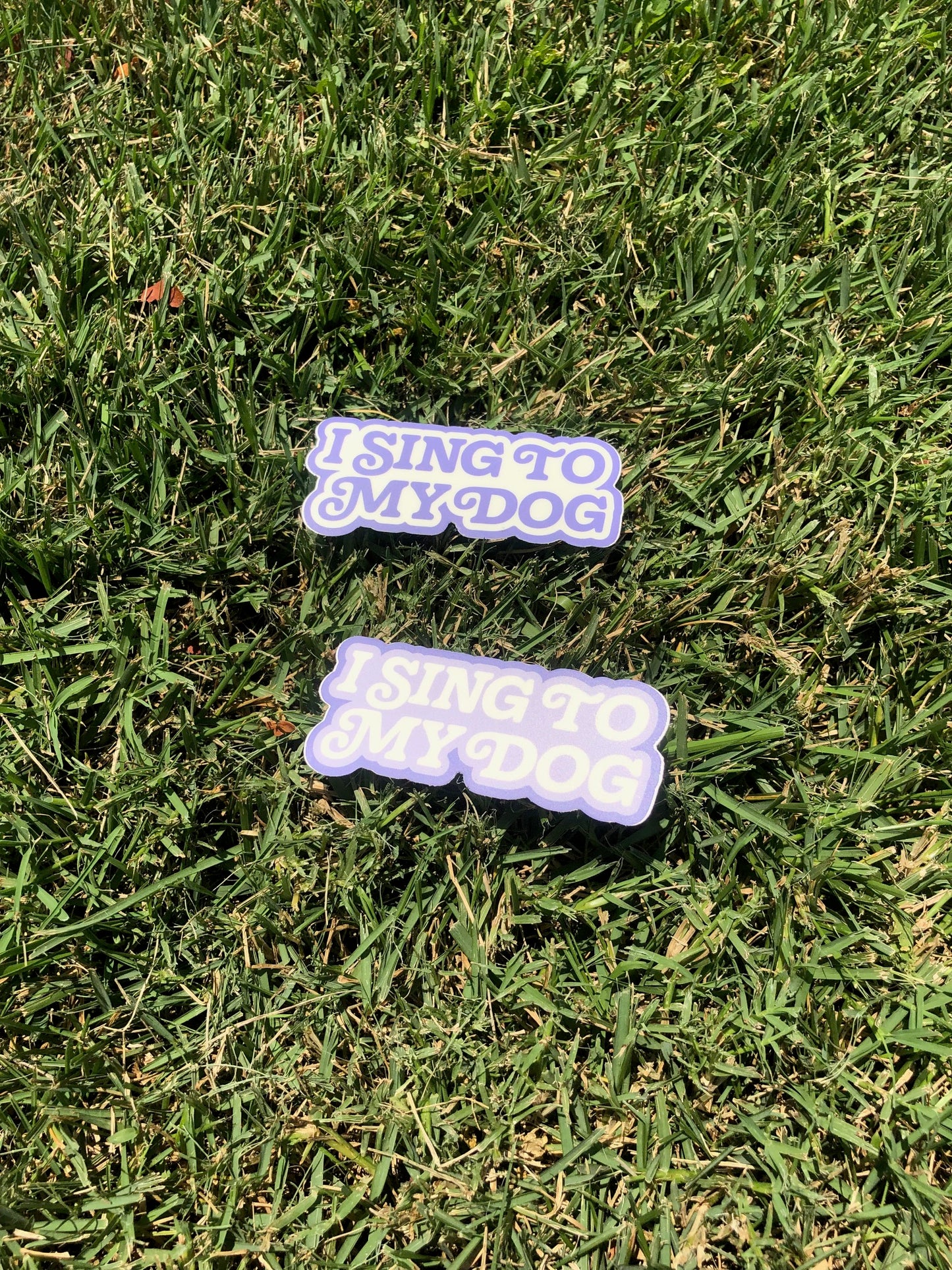 LARGE "I Sing to My Dog" Retro Swirly Sticker Set (2 Stickers)