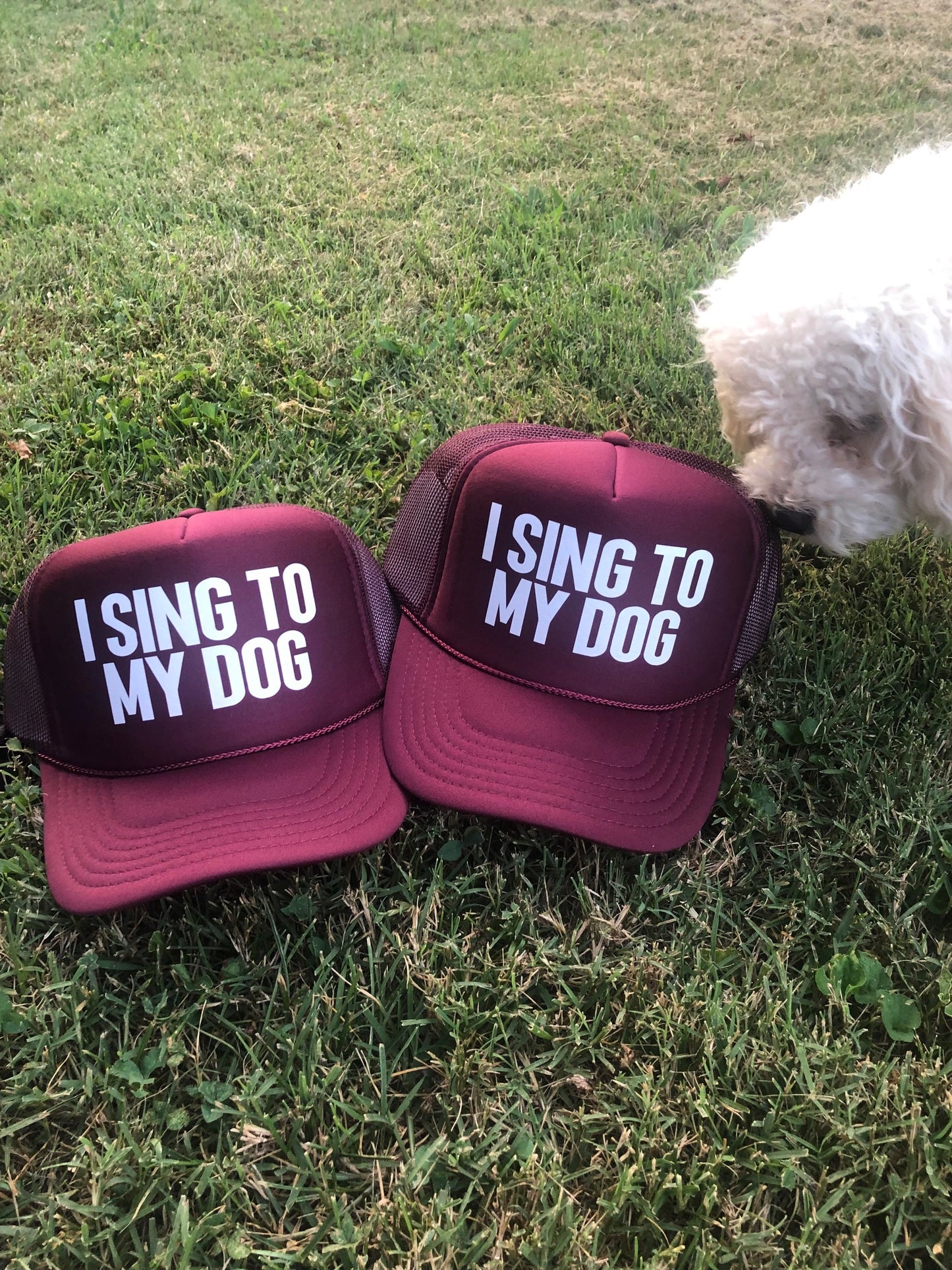 "I Sing to My Dog" Maroon Trucker Cap
