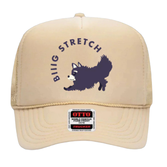 Big Stretch Tan Trucker Cap
