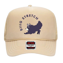 Big Stretch Tan Trucker Cap