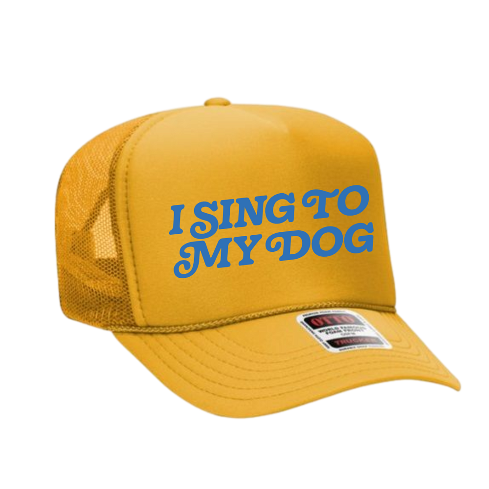 "I Sing to My Dog" Retro Swirl Hat collection